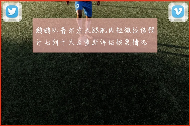 鹈鹕队普尔左大腿肌肉轻微拉伤预计七到十天后重新评估恢复情况