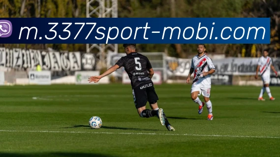 3377体育平台生态图