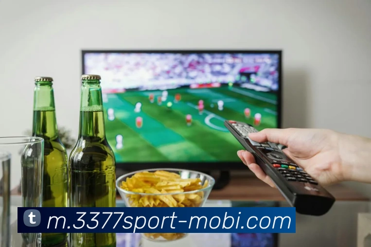 3377体育APP 封面图